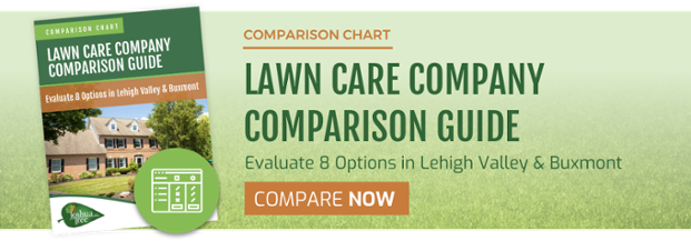 Get Rid of Onion Grass - Green Lawn Fertilizing